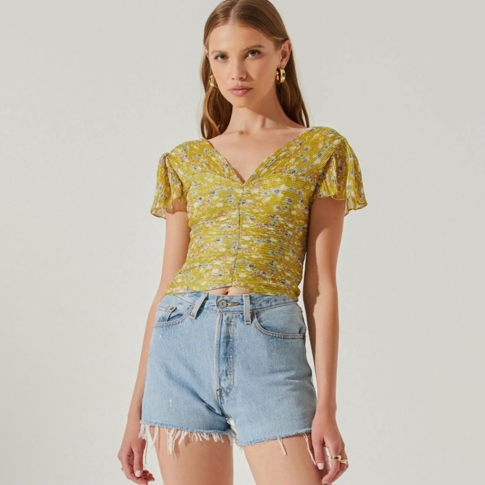 ASTR The Label Floral Plissé V-Neck Smocked Crop Top Whimsical Fairy Size S